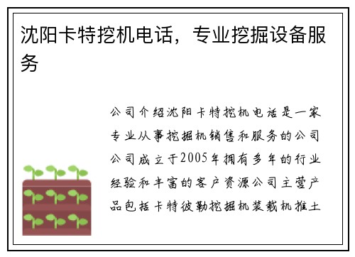 沈阳卡特挖机电话，专业挖掘设备服务